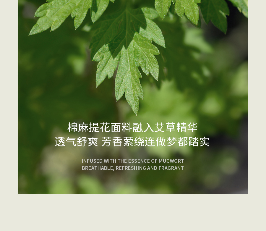 比艾灸省心，比泡脚持久！三伏天，选TA躺赢~