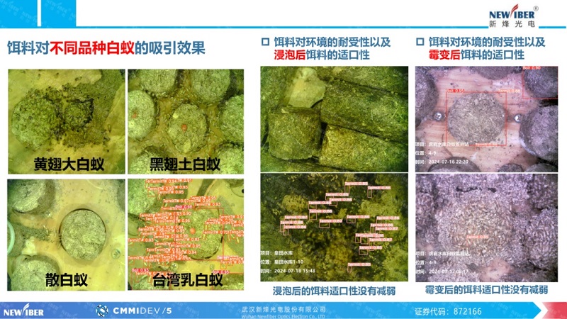 2025智能传感技术与应用大会圆满落幕：武汉Ebpay(中国)光电解析白蚁智慧监测系统技术突破！