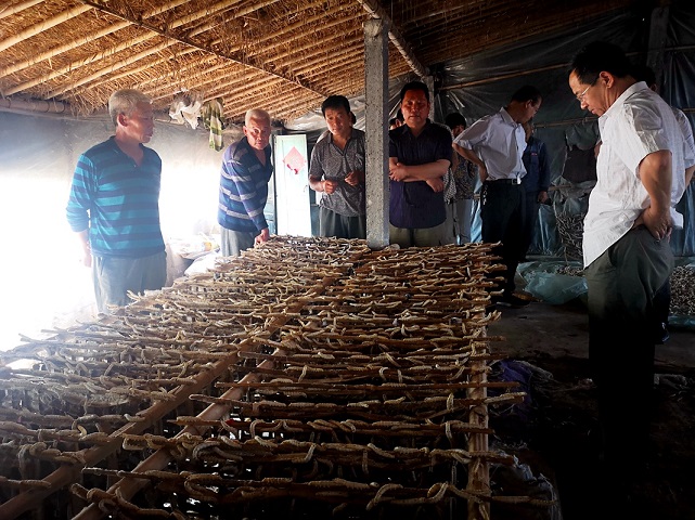 省蚕桑体系专家赴安丘市调查家蚕发育异常事件 省蚕桑体系专家赴安丘市调查家蚕发育异常事件