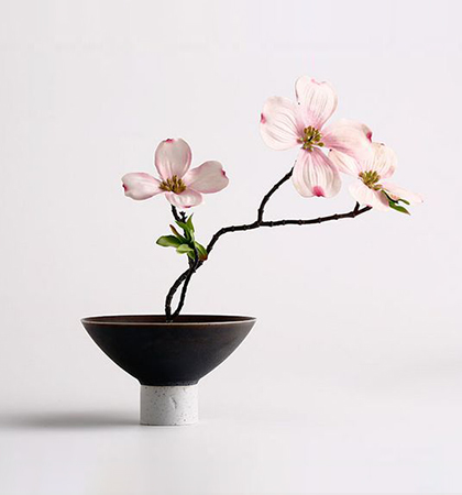 禅意插花 禅意插花