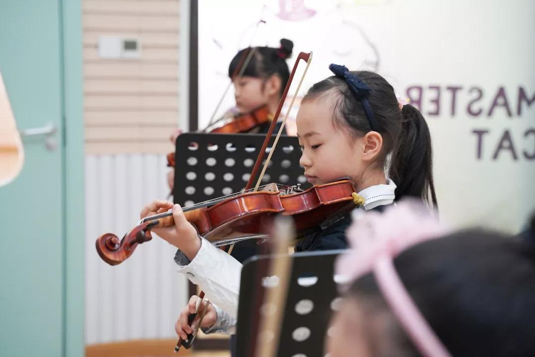 首席猫落实学业规划,新学期「选班选课制」正式推出! 首席猫落实学业规划,新学期「选班选课制」正式推出!