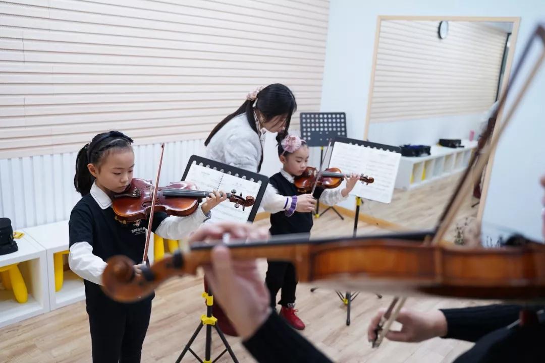 首席猫落实学业规划,新学期「选班选课制」正式推出! 首席猫落实学业规划,新学期「选班选课制」正式推出!