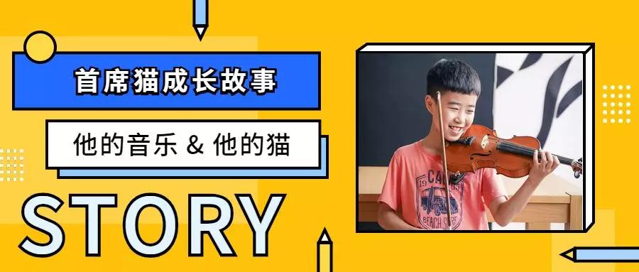 首席猫学琴成长故事:音乐和猫,他的生活温度 首席猫学琴成长故事:音乐和猫,他的生活温度