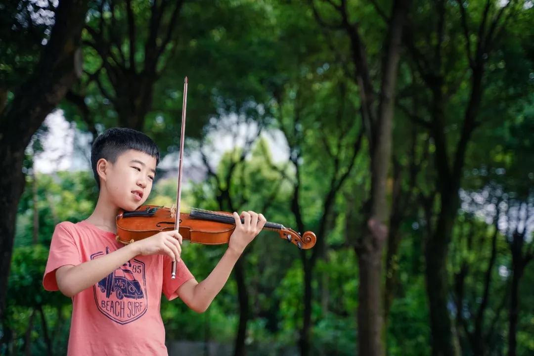 首席猫学琴成长故事:音乐和猫,他的生活温度 首席猫学琴成长故事:音乐和猫,他的生活温度