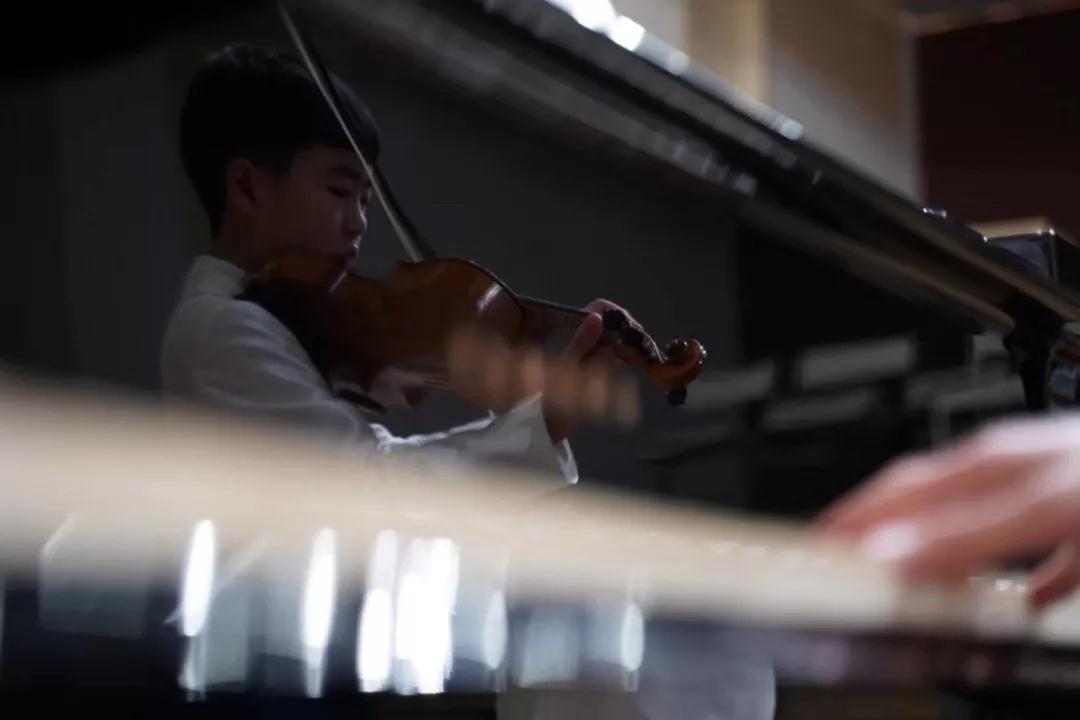 首席猫学琴成长故事:音乐和猫,他的生活温度 首席猫学琴成长故事:音乐和猫,他的生活温度
