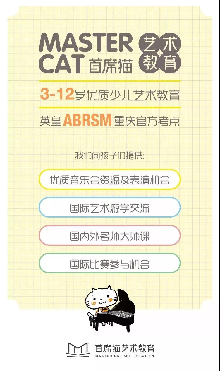 首席猫学琴成长故事:音乐和猫,他的生活温度 首席猫学琴成长故事:音乐和猫,他的生活温度