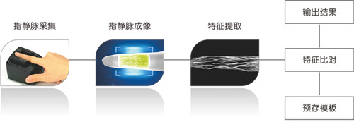 指静脉生物识别原理 指静脉生物识别原理