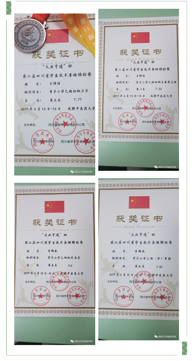 喜报丨成都王府学子在四川省学生武术套路锦标赛中荣获佳绩 喜报丨成都王府学子在四川省学生武术套路锦标赛中荣获佳绩