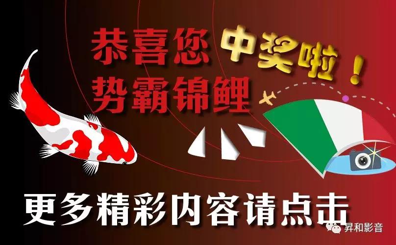 买到就是赚到:“金星”猴赛雷2019年限量推广套装 买到就是赚到:“金星”猴赛雷2019年限量推广套装