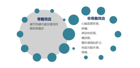 25-羟基维生素D测定试剂盒(荧光免疫层析法) 25-羟基维生素D测定试剂盒(荧光免疫层析法)