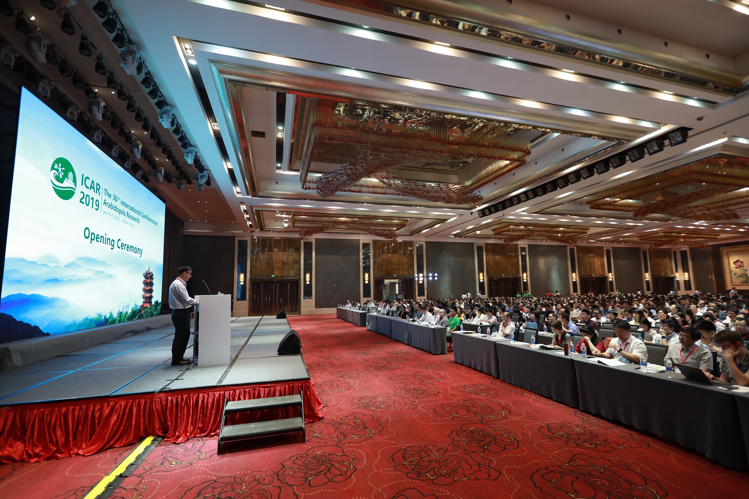 质谱新时代,4D领航!景杰4D-LFQ新技术助推拟南芥研究发展| ICAR2019 质谱新时代,4D领航!景杰4D-LFQ新技术助推拟南芥研究发展| ICAR2019