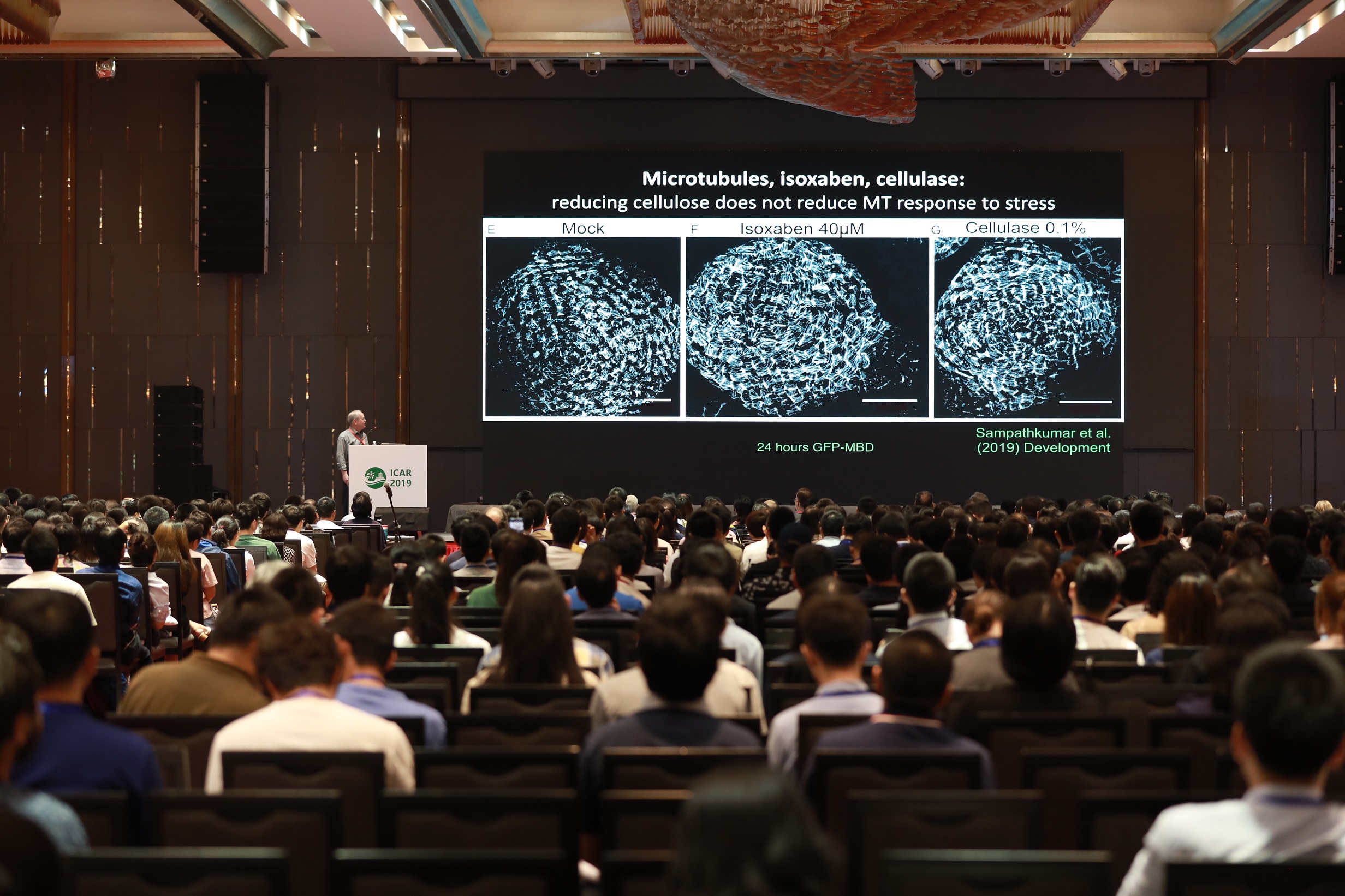 质谱新时代,4D领航!景杰4D-LFQ新技术助推拟南芥研究发展| ICAR2019 质谱新时代,4D领航!景杰4D-LFQ新技术助推拟南芥研究发展| ICAR2019
