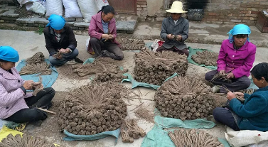 岷县:电商扎根贫困县 “药乡”焕发新活力 岷县:电商扎根贫困县 “药乡”焕发新活力