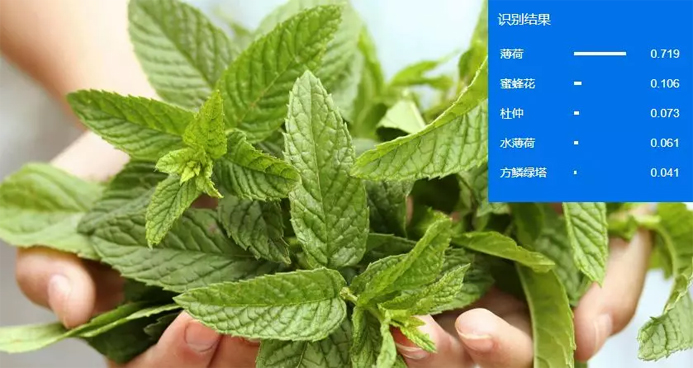 智慧服务解决方案 智慧服务解决方案