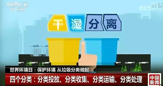 干垃圾、湿垃圾，傻傻分不清