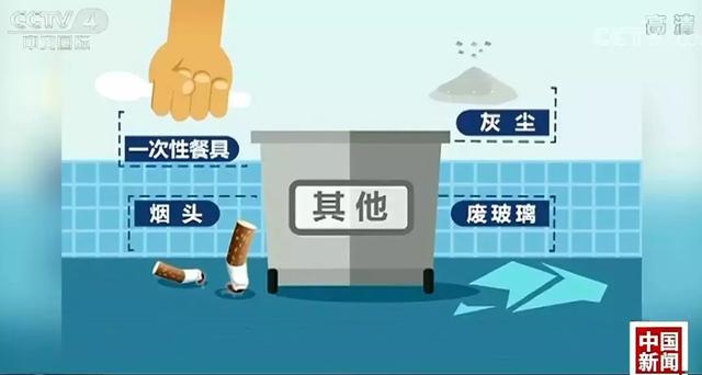 干垃圾、湿垃圾，傻傻分不清