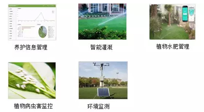 智慧养护解决方案 智慧养护解决方案