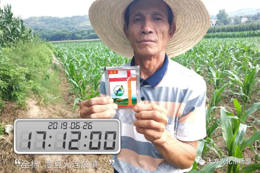 “全标”:1包1桶治1“贪”,第2天虫死完 “全标”:1包1桶治1“贪”,第2天虫死完