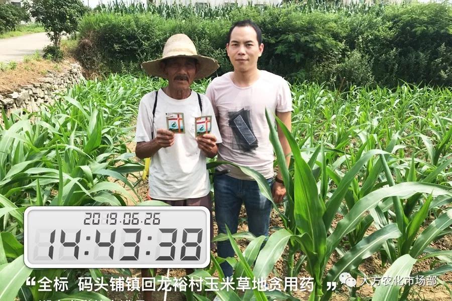 “全标”:1包1桶治1“贪”,第2天虫死完 “全标”:1包1桶治1“贪”,第2天虫死完