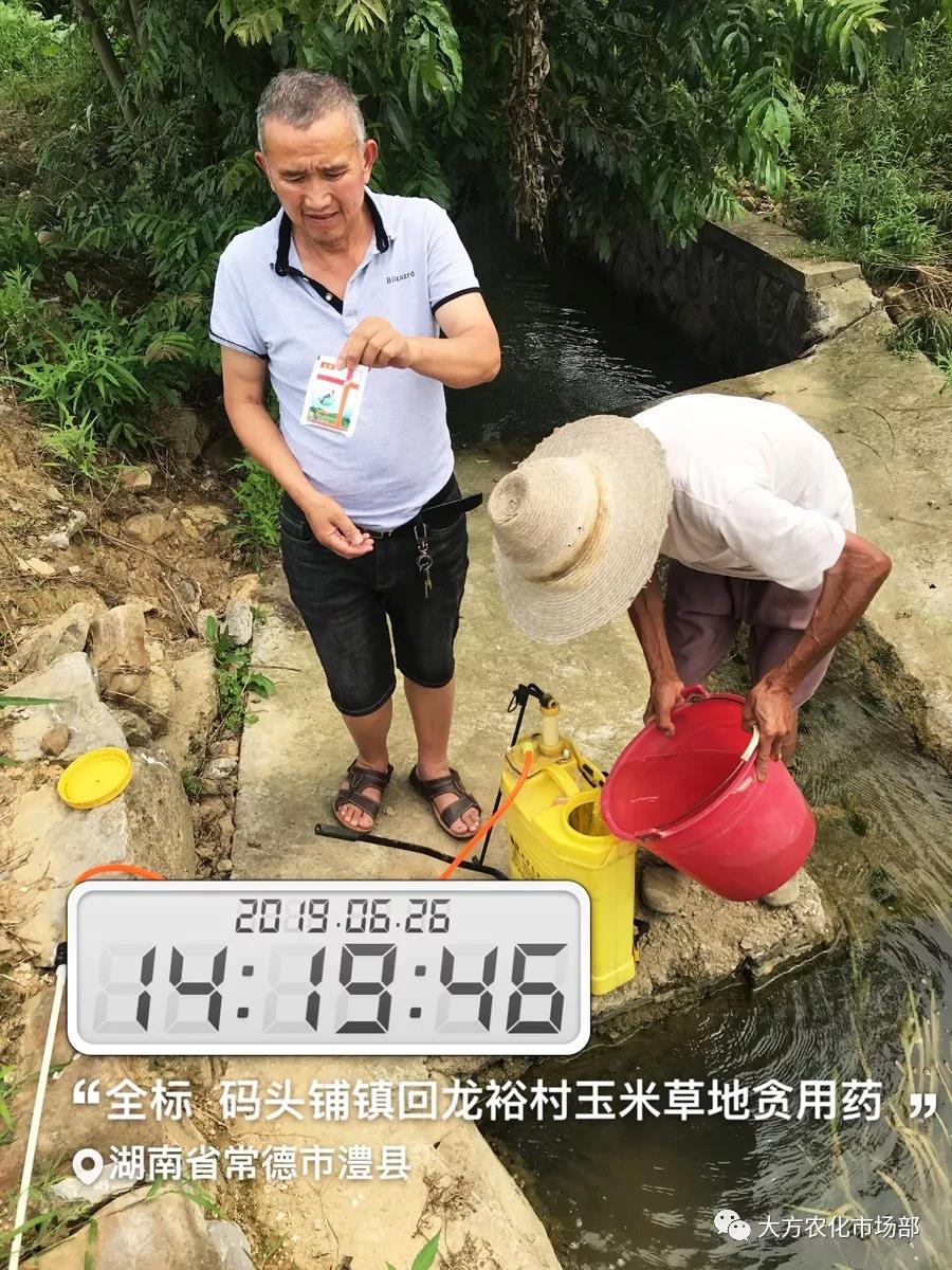 “全标”:1包1桶治1“贪”,第2天虫死完 “全标”:1包1桶治1“贪”,第2天虫死完