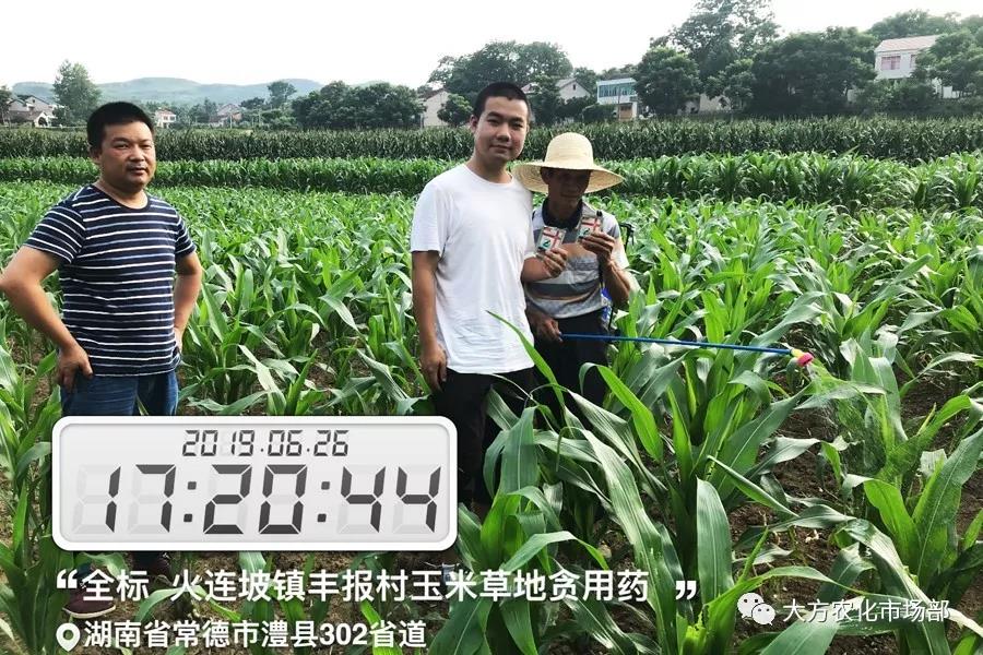 “全标”:1包1桶治1“贪”,第2天虫死完 “全标”:1包1桶治1“贪”,第2天虫死完