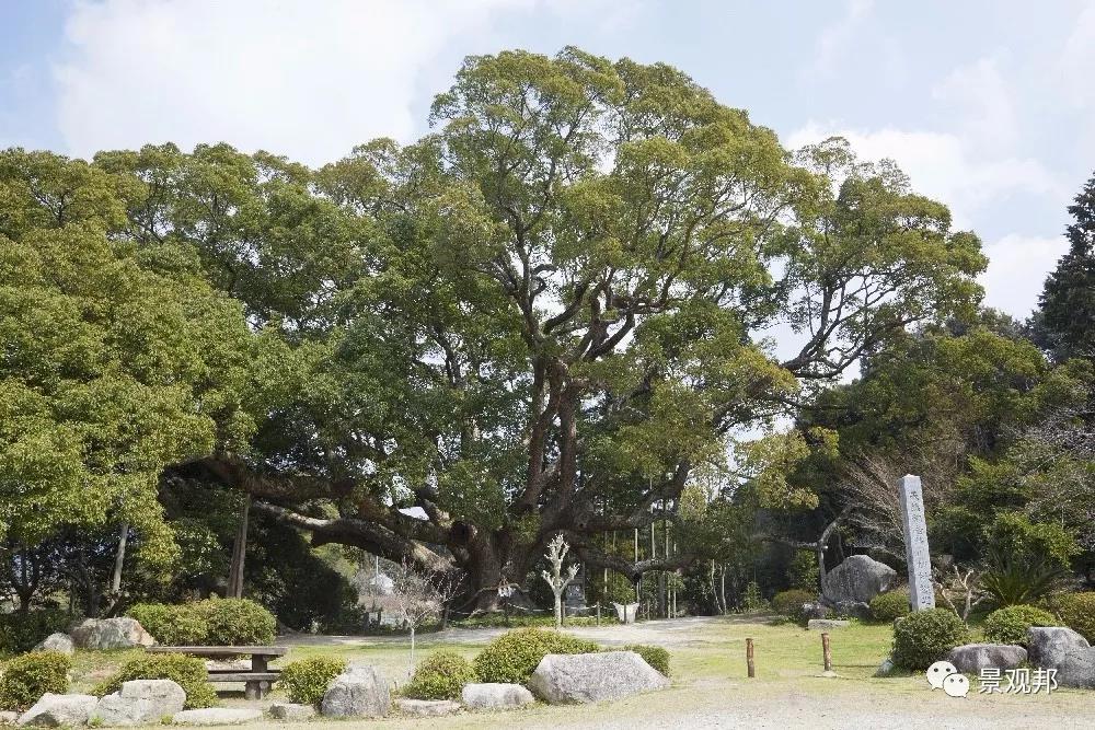 别墅庭院设计之植物也有风水 别墅庭院设计之植物也有风水