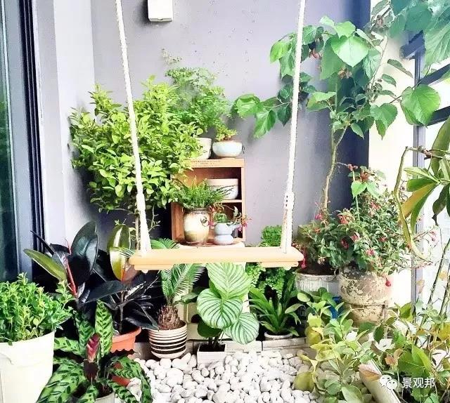 别墅庭院设计之植物也有风水 别墅庭院设计之植物也有风水