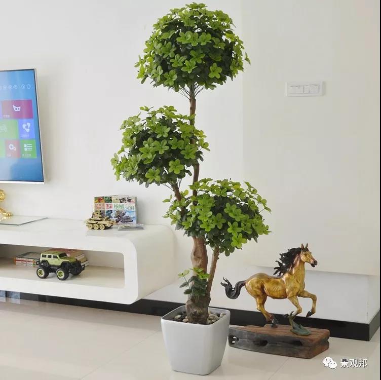 别墅庭院设计之植物也有风水 别墅庭院设计之植物也有风水