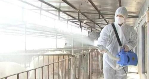 养猪场消毒技术 养猪场消毒技术
