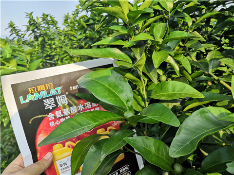 农作物施用水溶肥都有哪些好处