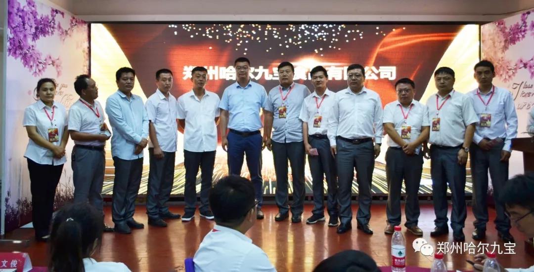 2019年第二阶段销售会议暨上年度表彰大会 2019年第二阶段销售会议暨上年度表彰大会