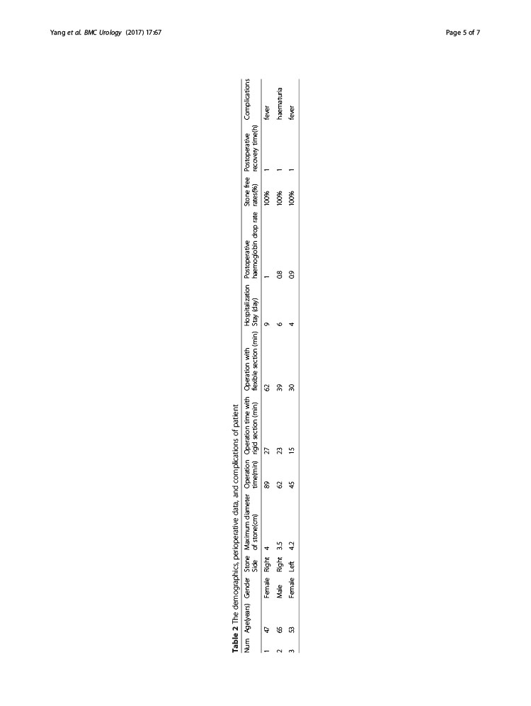 The application of a novel integrated rigid and flexible Nephroscope in percutan