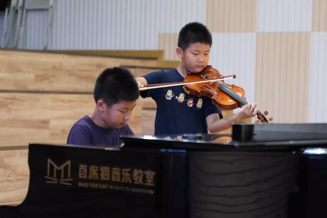 学钢琴好还是学小提琴好?看首席猫双胞胎的学琴之路,在家造个小乐团 学钢琴好还是学小提琴好?看首席猫双胞胎的学琴之路,在家造个小乐团
