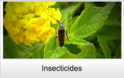 Insecticides