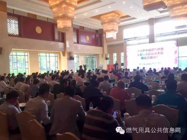 2016年中国燃气供热专业委员会会员大会暨技术研讨会会议纪要 