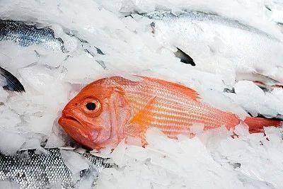 选购进口海鲜有哪些注意事项呢? 选购进口海鲜有哪些注意事项呢?