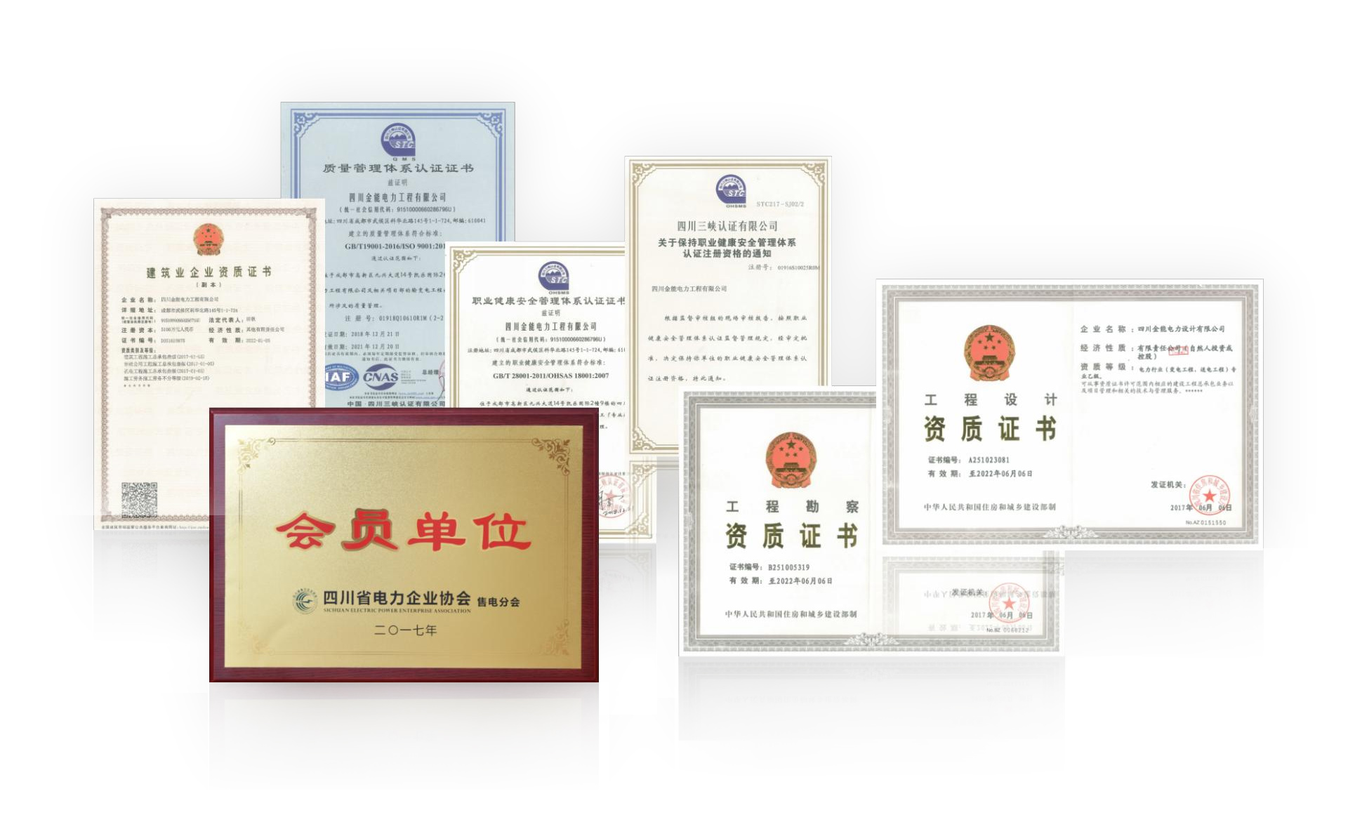 荣誉资质 荣誉资质