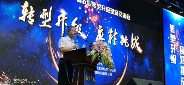 集团总裁、协会秘书长段利锋发出行业倡议书————省畜牧业协会“防非形势下畜牧业转型升级现场交流会”在 集团总裁、协会秘书长段利锋发出行业倡议书————省畜牧业协会“防非形势下畜牧业转型升级现场交流会”在