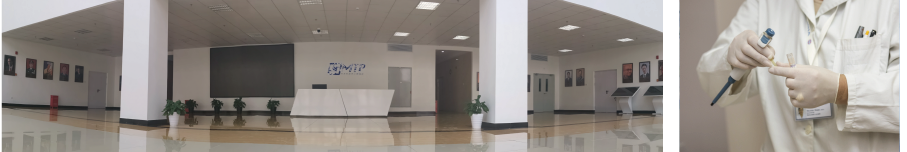 企业团队 企业团队