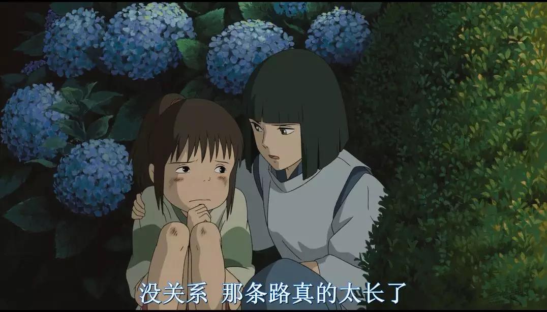 你看的《千与千寻》,其实将的是植物的故事 你看的《千与千寻》,其实将的是植物的故事