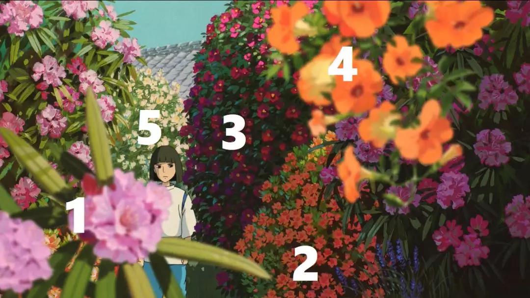 你看的《千与千寻》,其实将的是植物的故事 你看的《千与千寻》,其实将的是植物的故事
