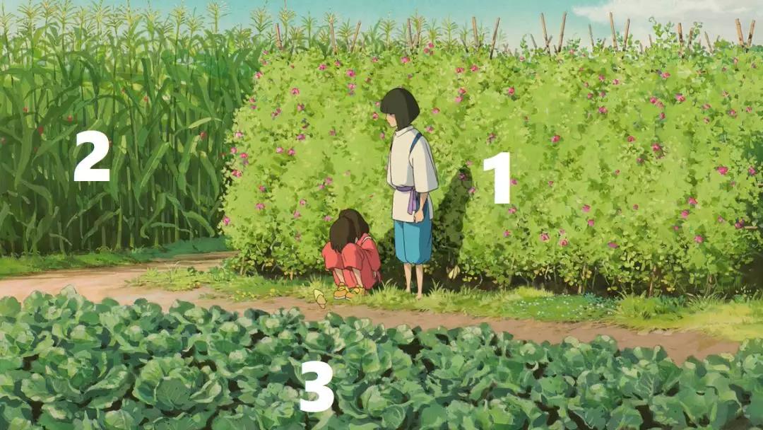 你看的《千与千寻》,其实将的是植物的故事 你看的《千与千寻》,其实将的是植物的故事