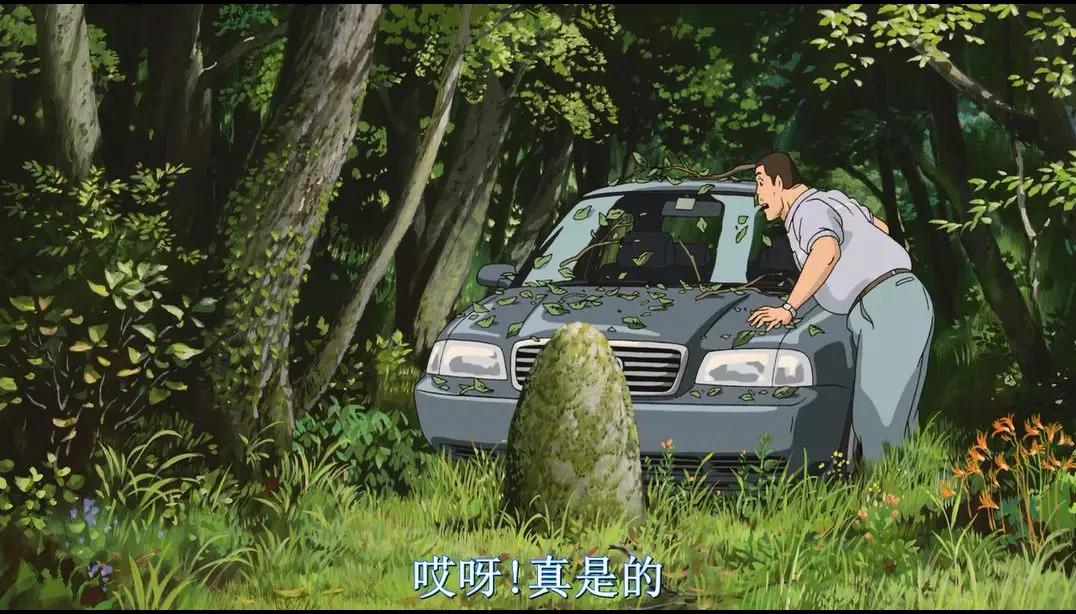 你看的《千与千寻》,其实将的是植物的故事 你看的《千与千寻》,其实将的是植物的故事