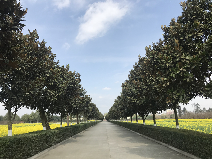 草莓app污下载地址智慧佳教育培訓基地 草莓视频二维码智慧佳教育培訓基地