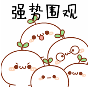 武汉市各区初中期末划线/有效分/最高分汇总