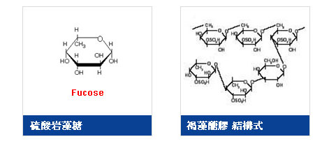 clip_image001.jpg http://www.fucoidan.org.tw/upload/html/images/icon_002(1).jpg