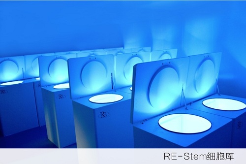 RE-Stem细胞库1.jpg RE-Stem细胞库1.jpg
