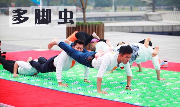 团队凝聚力拓展项目:多脚虫 团队凝聚力拓展项目:多脚虫