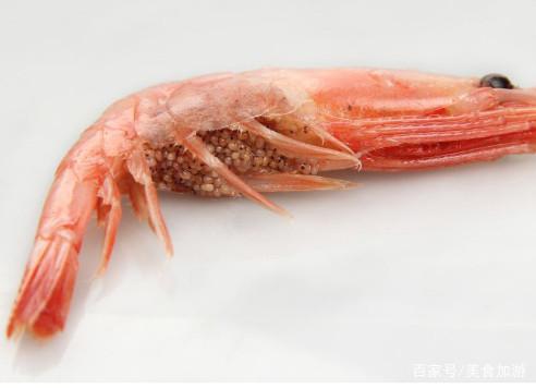餐桌上的宠儿,垂涎欲滴的北极甜虾,怎样吃才最鲜? 餐桌上的宠儿,垂涎欲滴的北极甜虾,怎样吃才最鲜?