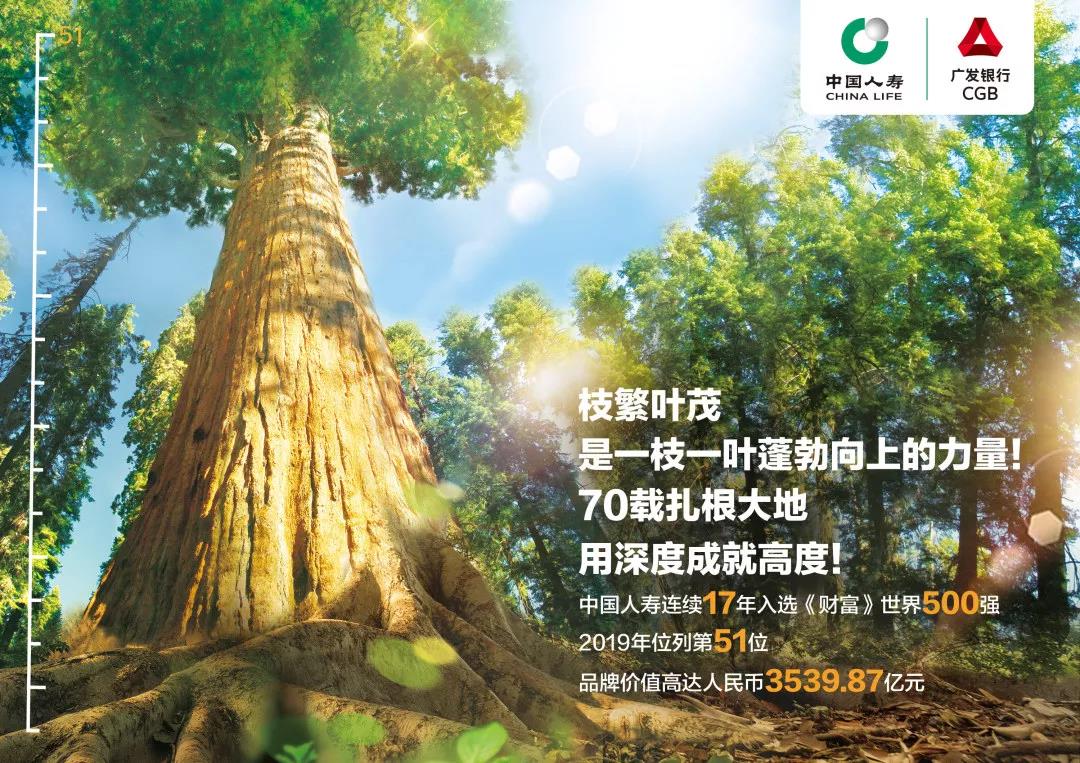 中国人寿连续17年入选《财富》世界500强 中国人寿连续17年入选《财富》世界500强